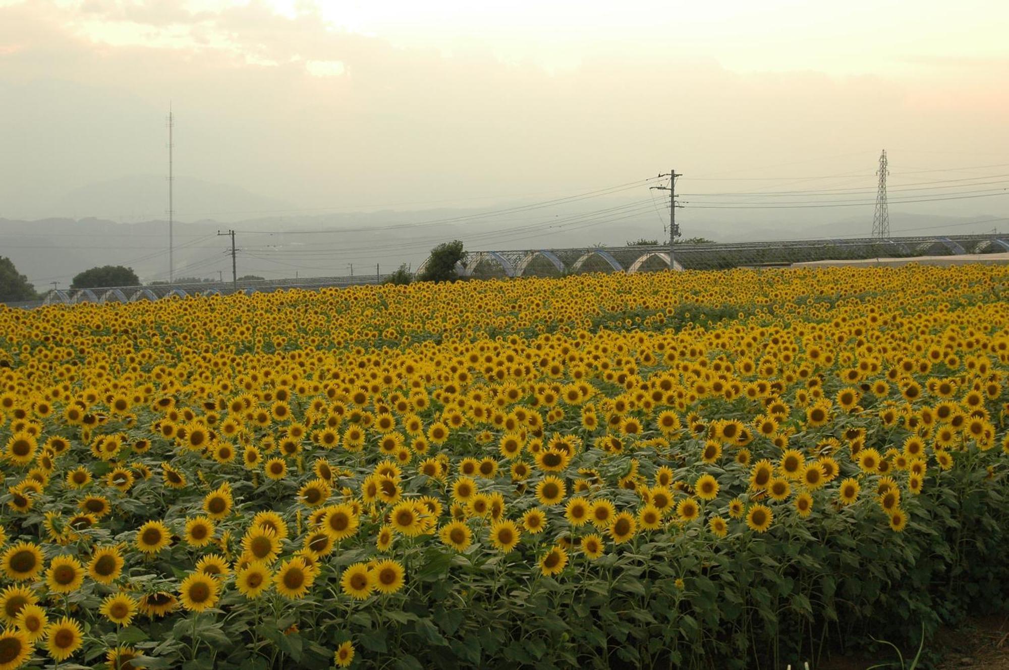 ホテル八田 笛吹市 エクステリア 写真