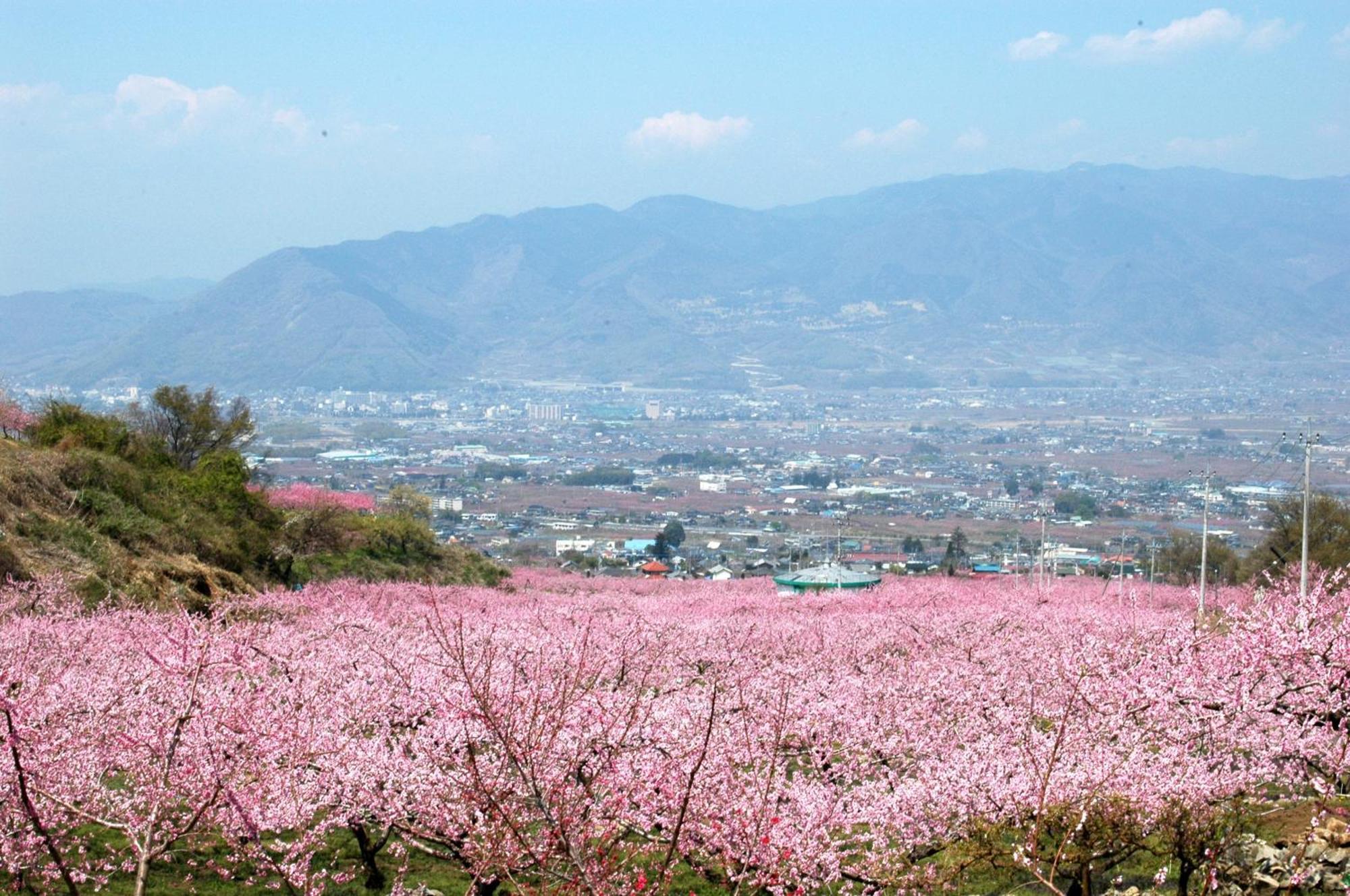 ホテル八田 笛吹市 エクステリア 写真