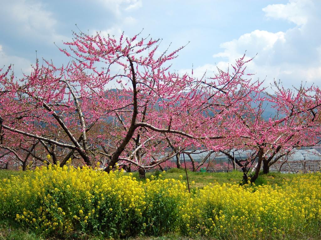 ホテル八田 笛吹市 エクステリア 写真